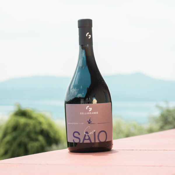 SAIO - Canavese DOC Nebbiolo 2021